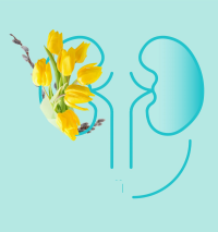 Всемирный день почки: почему важно помнить об этом органе и как продлить его ресурс