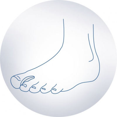 Межпальцевая перегородка SP-I-911 ORTO 2