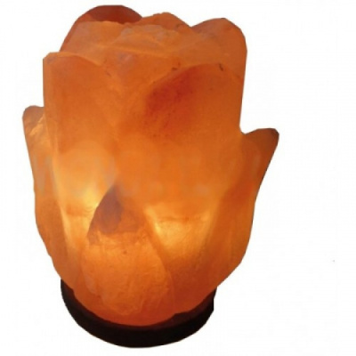 Солевая лампа "Цветок"