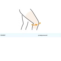 7 7