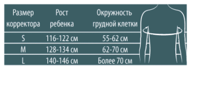 Корректор осанки W-132 P (детский), B.Well, серия MED РАЗМЕРЫ